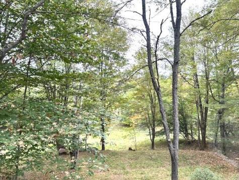 176 Long Falls Dam Road New Portland ME 04961