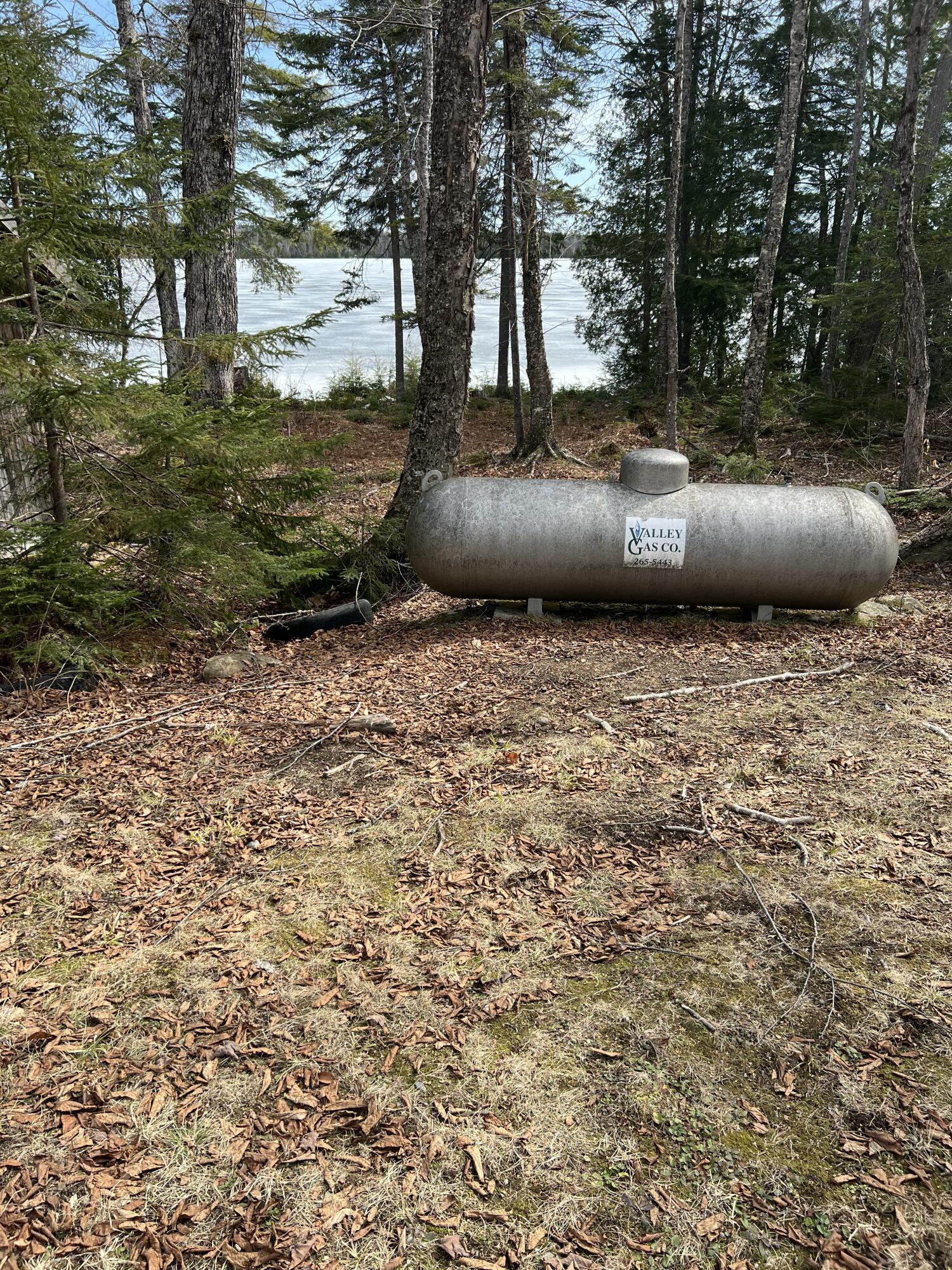 45 Dickson Road Carrying Place Town Twp ME 04961