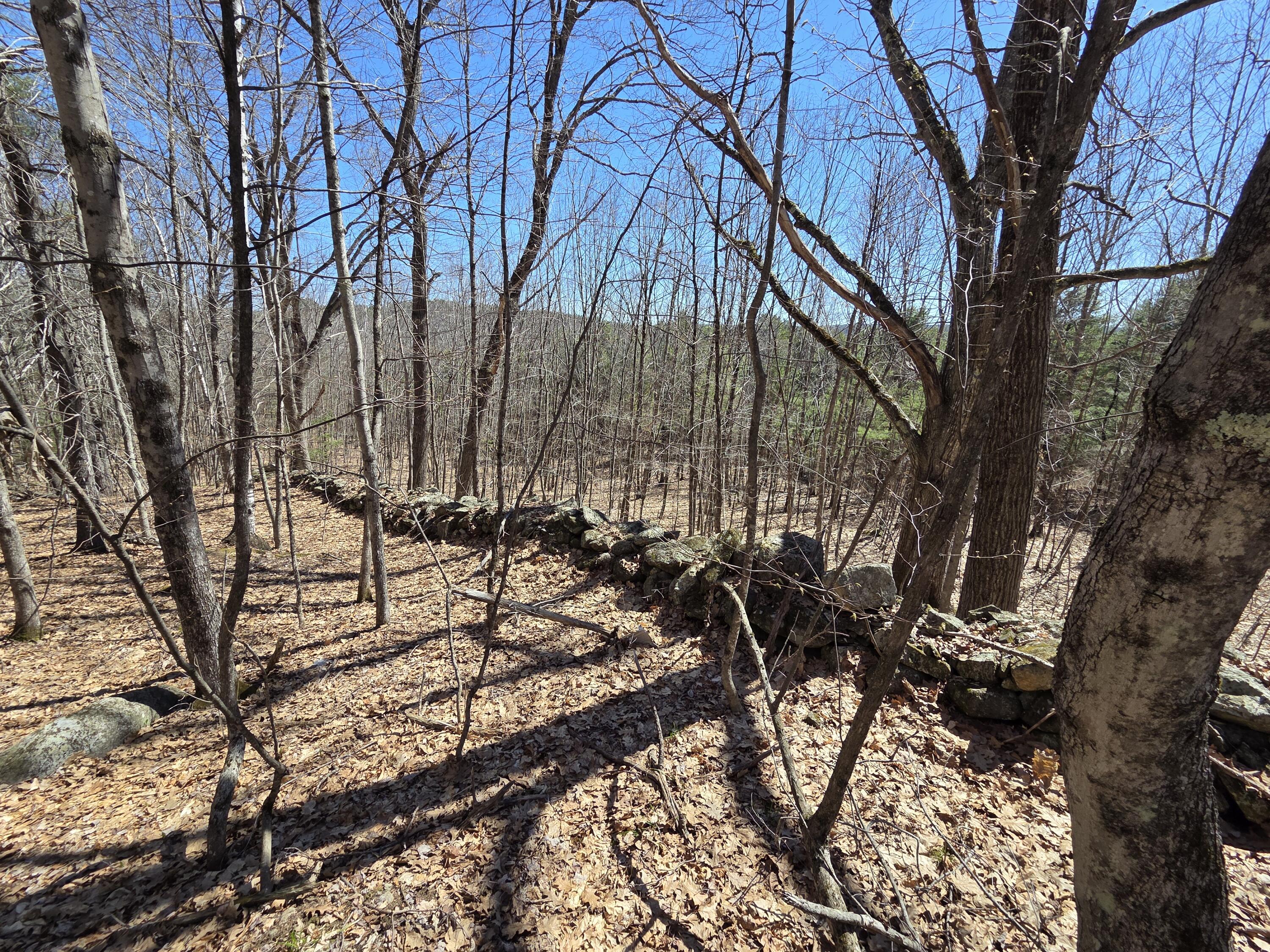 56 Buzzell Lane Greene ME 04236
