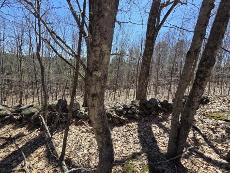 56 Buzzell Lane Greene ME 04236