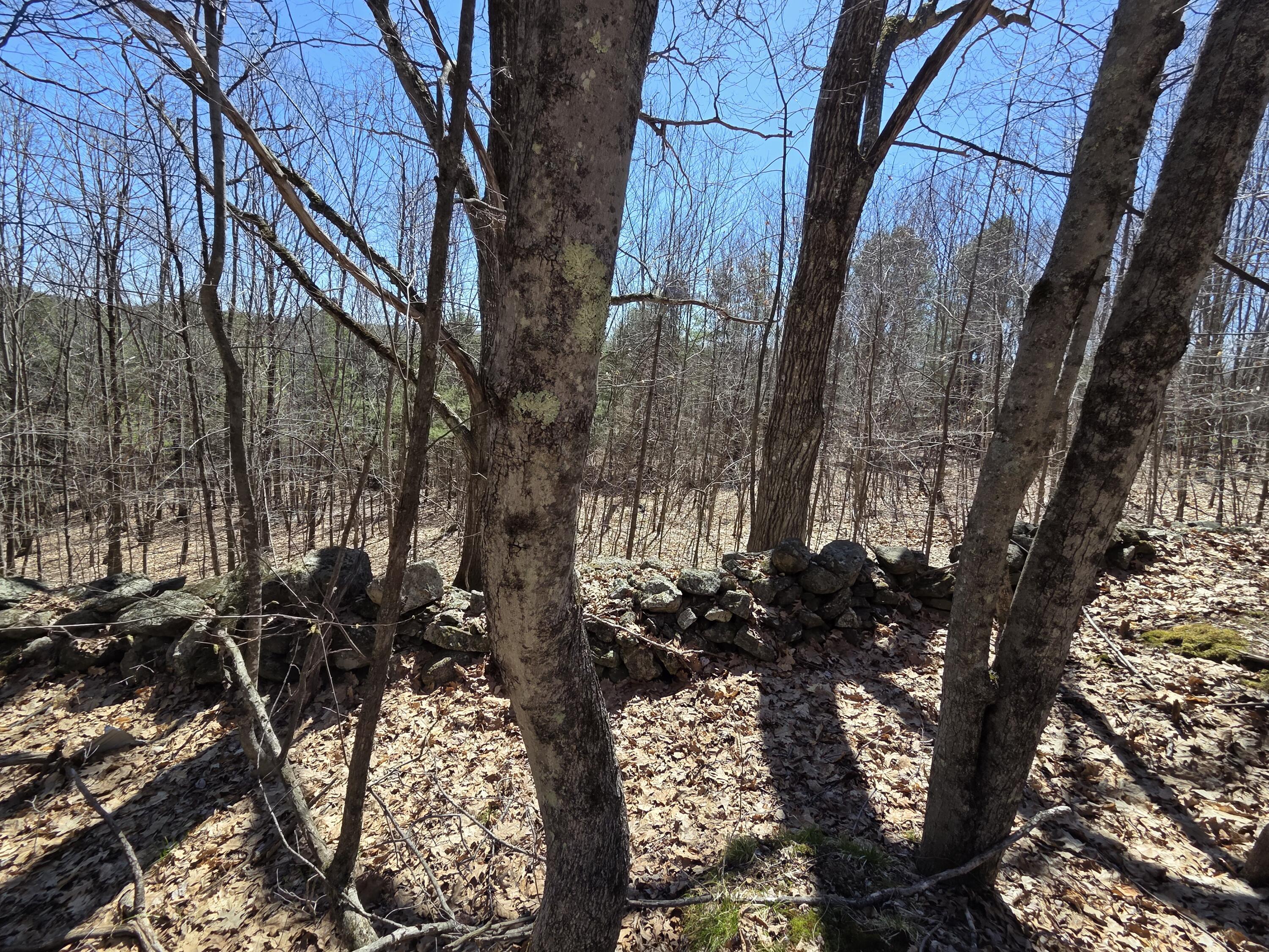 56 Buzzell Lane Greene ME 04236