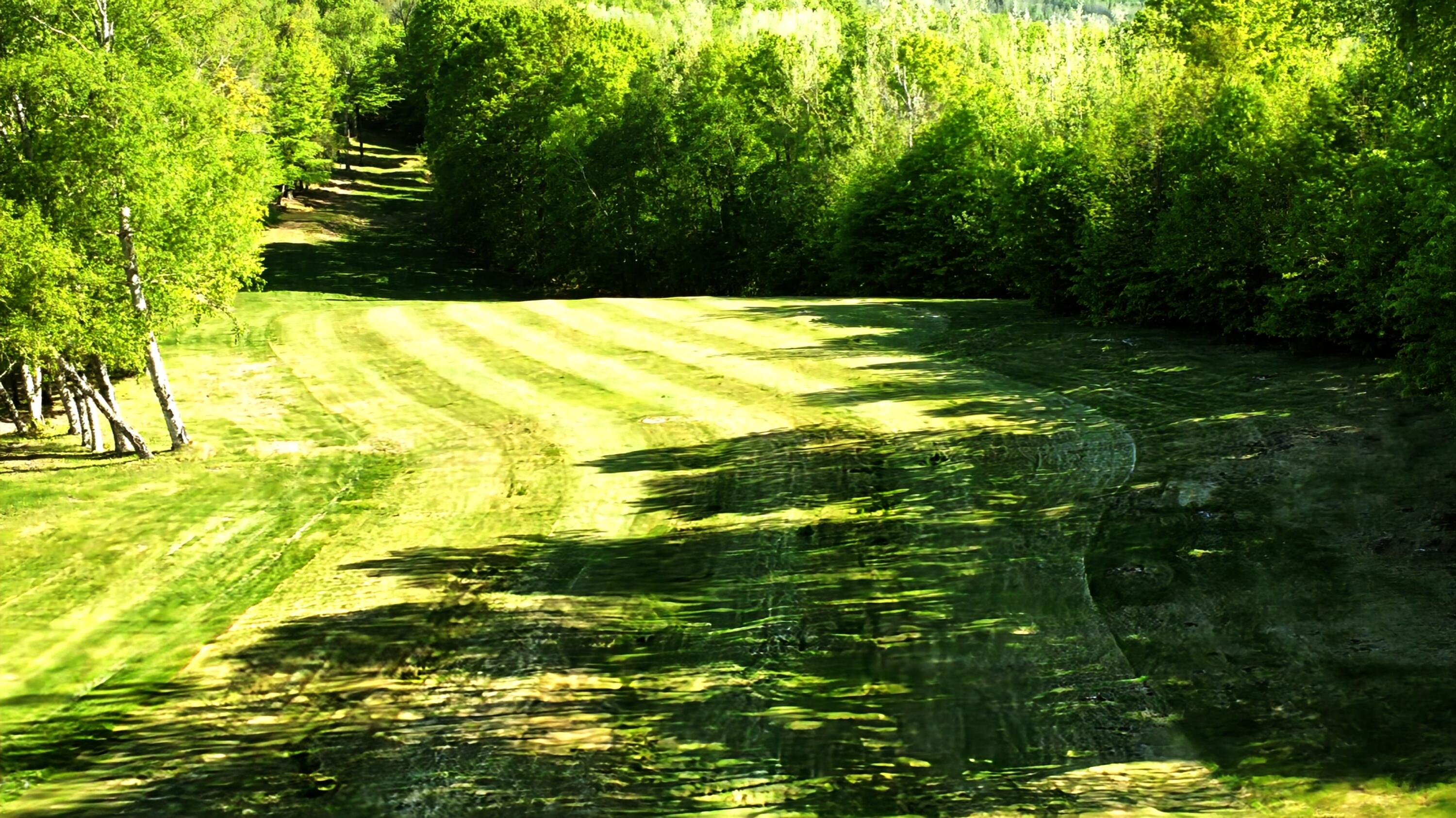 Lot G-n Sleeper Road Island Falls ME 04747