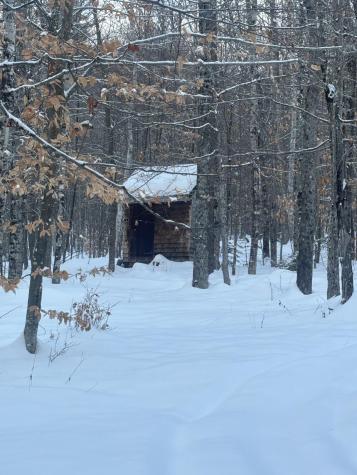 Lot 01/31 Spruce Pond Road Lexington Twp ME 04961