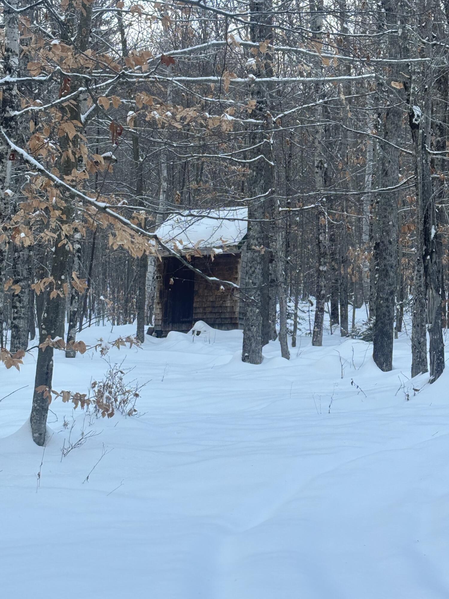 Lot 01/31 Spruce Pond Road Lexington Twp ME 04961