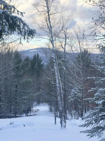 Lot 01/31 Spruce Pond Road Lexington Twp ME 04961