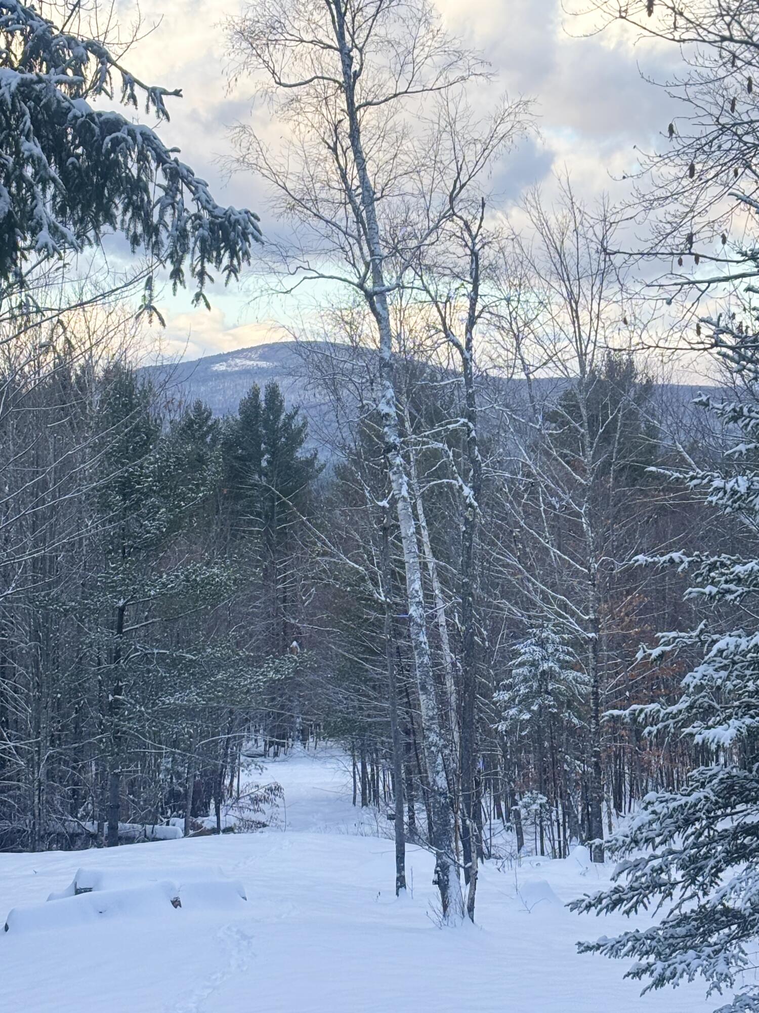 Lot 01/31 Spruce Pond Road Lexington Twp ME 04961