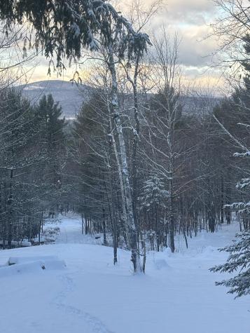 Lot 01/31 Spruce Pond Road Lexington Twp ME 04961