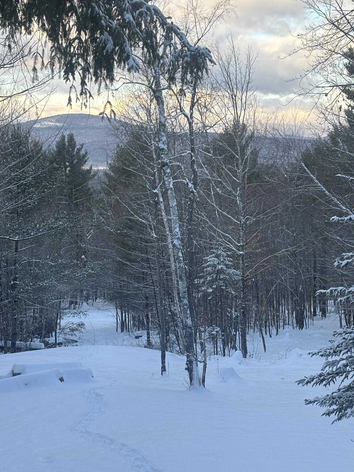 Lot 01/31 Spruce Pond Road Lexington Twp ME 04961