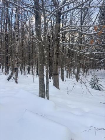 Lot 01/31 Spruce Pond Road Lexington Twp ME 04961