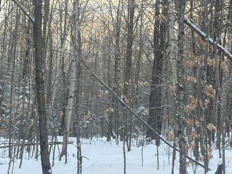 Lot 01/31 Spruce Pond Road Lexington Twp ME 04961