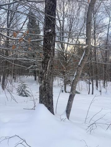 Lot 01/31 Spruce Pond Road Lexington Twp ME 04961