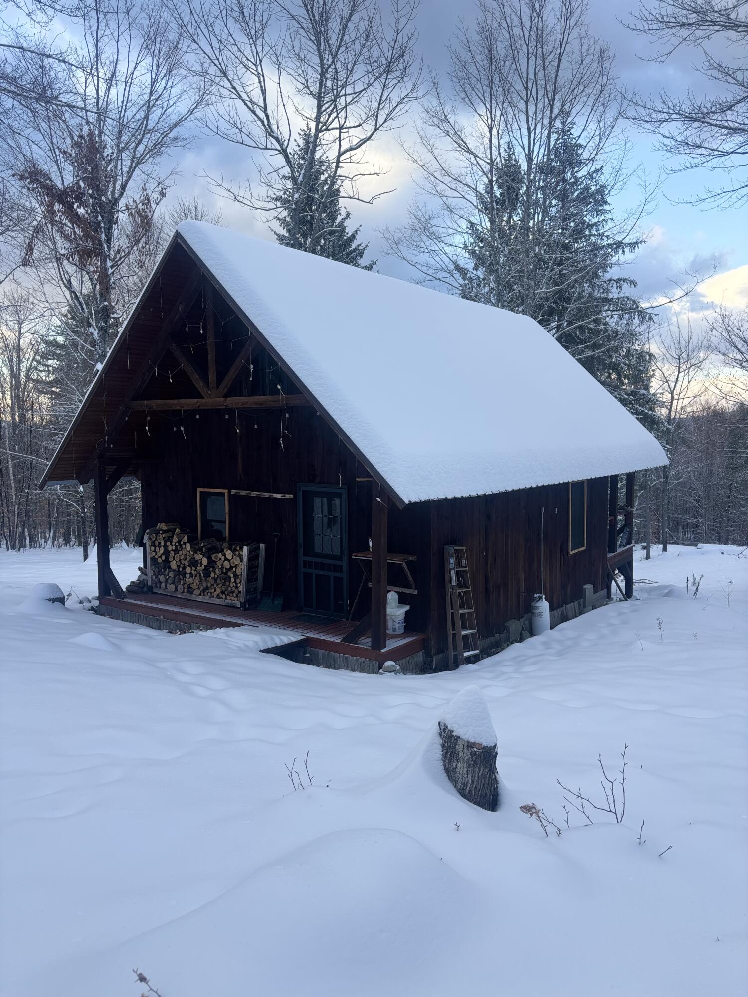 Lot 01/31 Spruce Pond Road Lexington Twp ME 04961