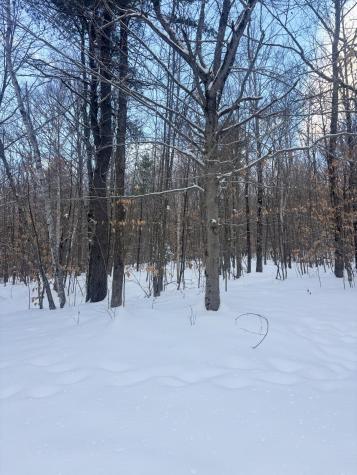 Lot 01/31 Spruce Pond Road Lexington Twp ME 04961