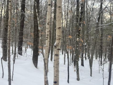 Lot 01/31 Spruce Pond Road Lexington Twp ME 04961