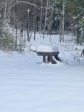 Lot 01/31 Spruce Pond Road Lexington Twp ME 04961