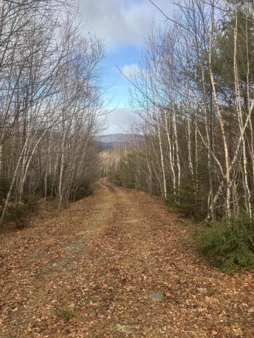 Lot 01/31 Spruce Pond Road Lexington Twp ME 04961