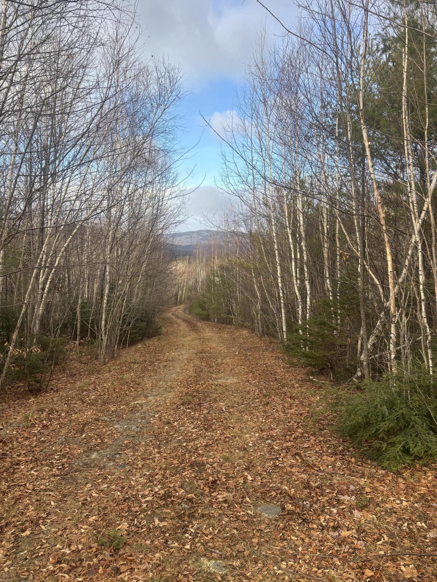 Lot 01/31 Spruce Pond Road Lexington Twp ME 04961