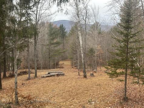 Lot 01/31 Spruce Pond Road Lexington Twp ME 04961