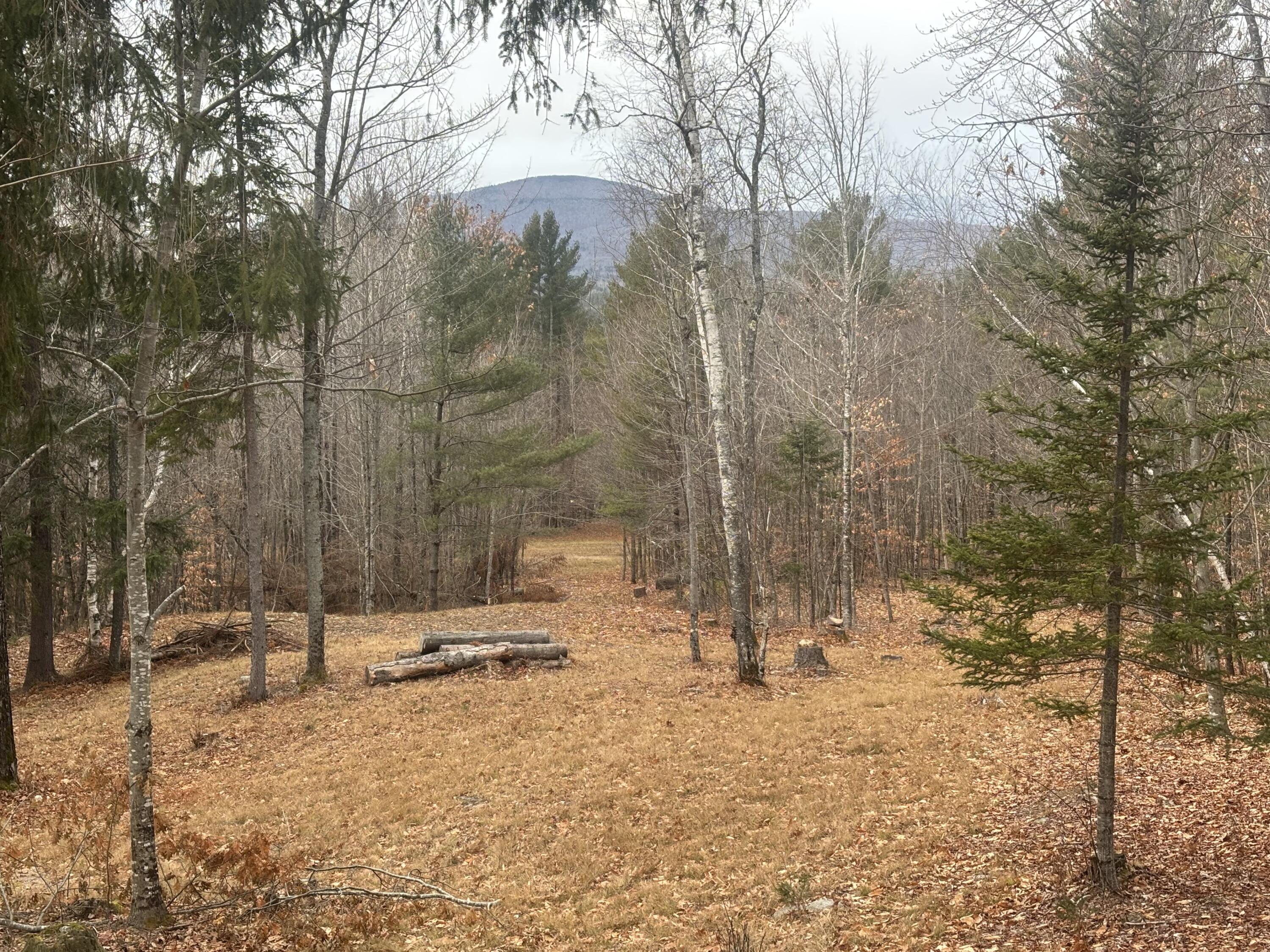 Lot 01/31 Spruce Pond Road Lexington Twp ME 04961