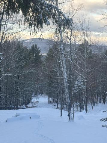 Lot 01/31 Spruce Pond Road Lexington Twp ME 04961