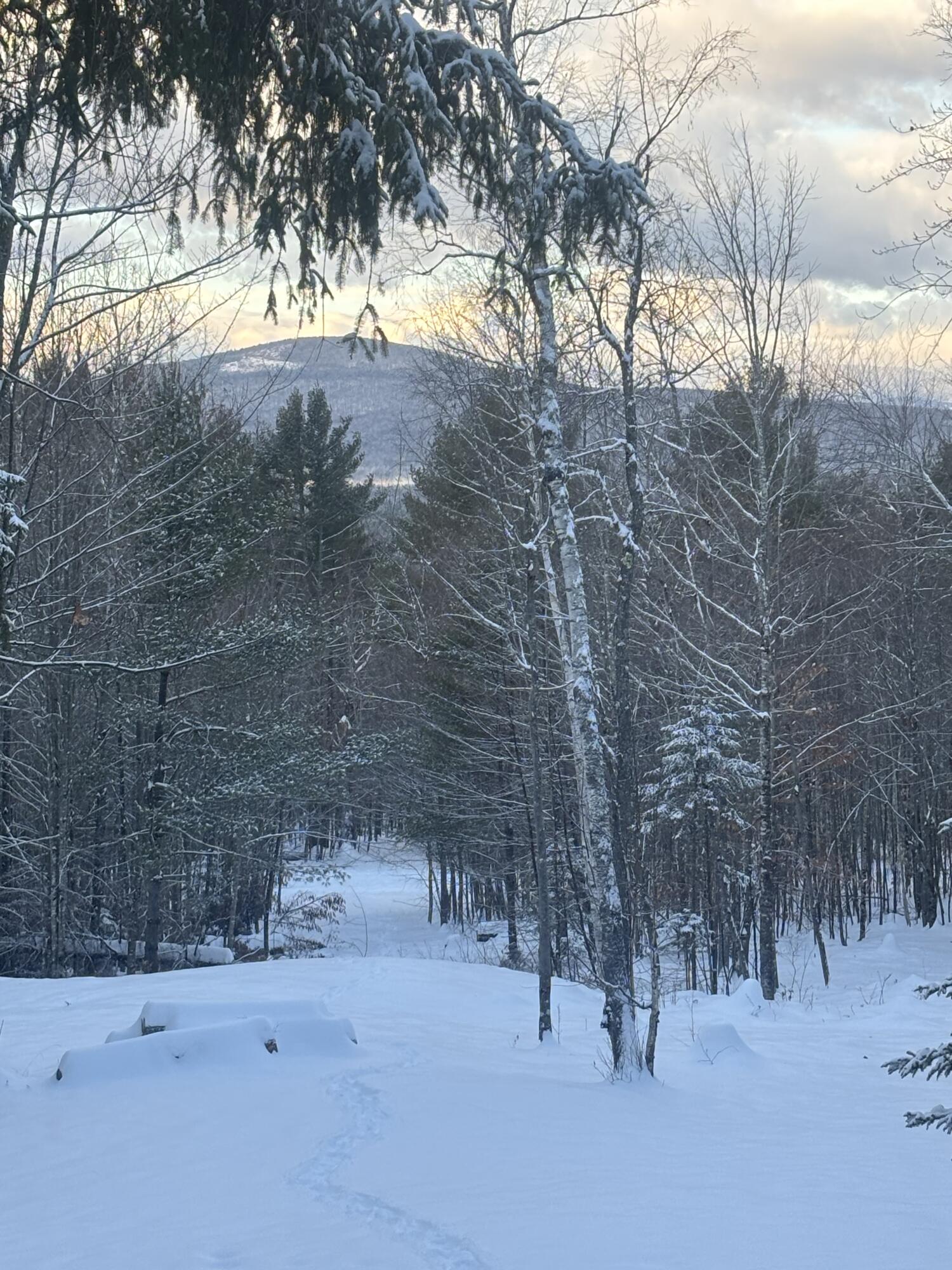 Lot 01/31 Spruce Pond Road Lexington Twp ME 04961