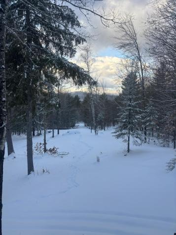 Lot 01/31 Spruce Pond Road Lexington Twp ME 04961