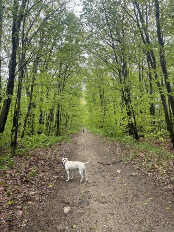 90 Farragut Street Portland ME 04103