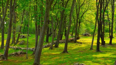 4 Ice House Point York ME 03909