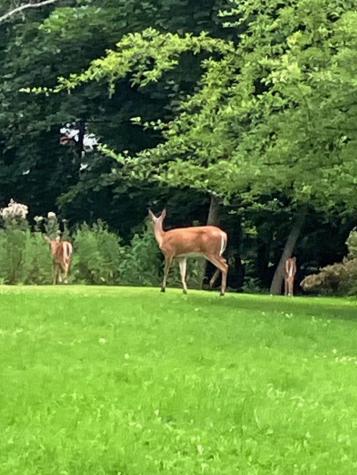 132 Lake Avenue Farmington ME 04938