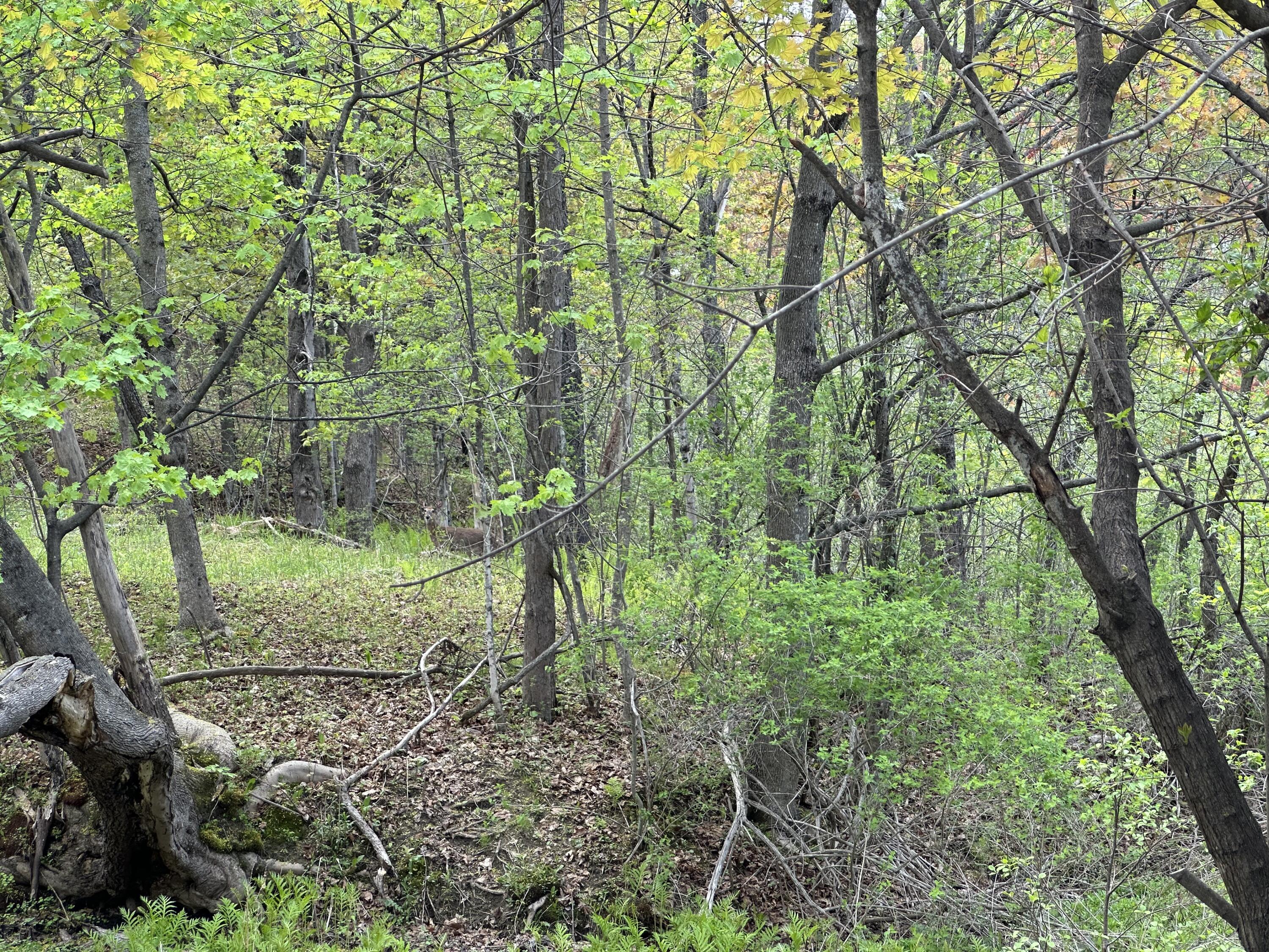 132 Lake Avenue Farmington ME 04938