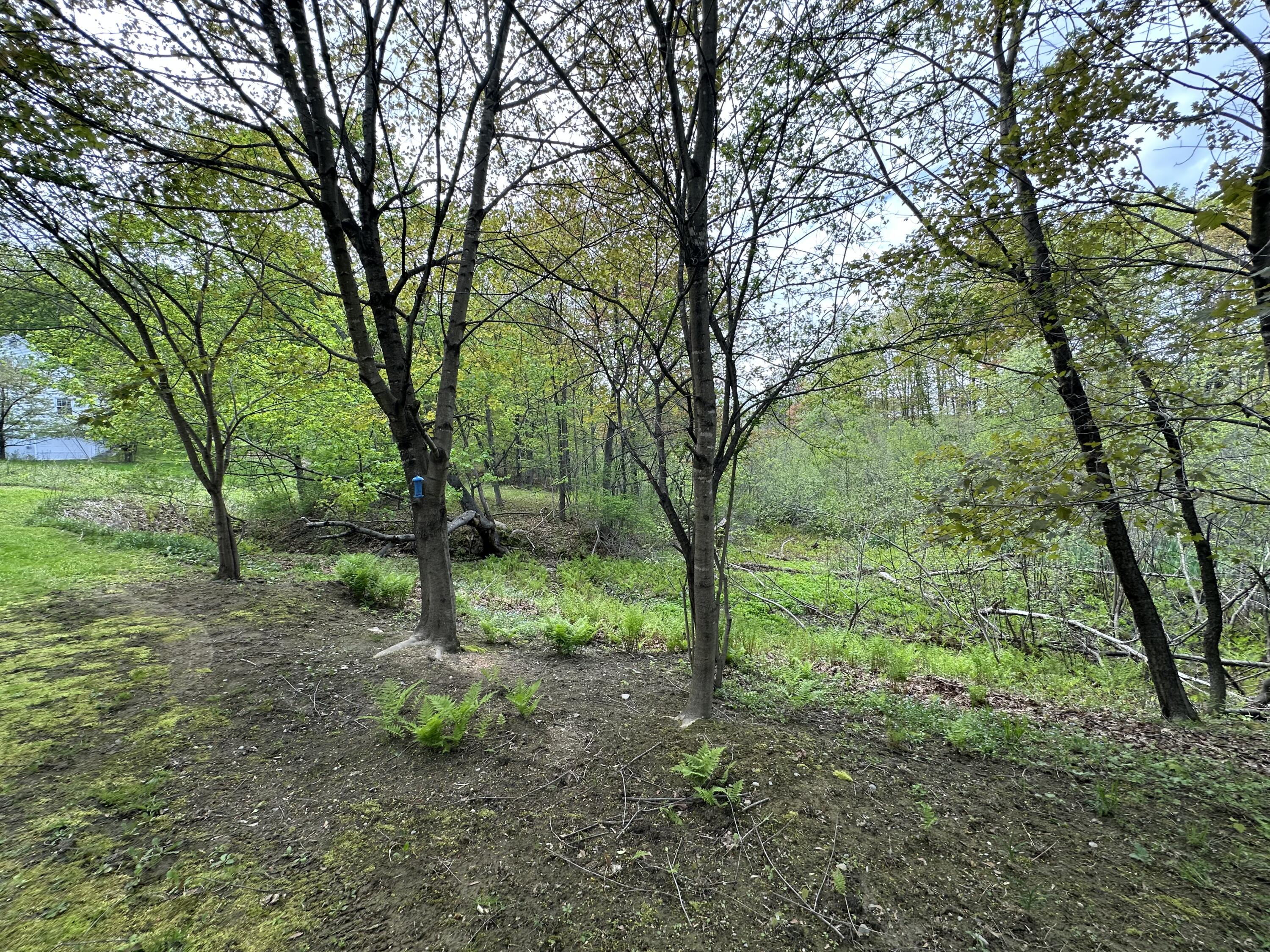 132 Lake Avenue Farmington ME 04938