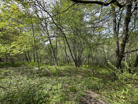 132 Lake Avenue Farmington ME 04938