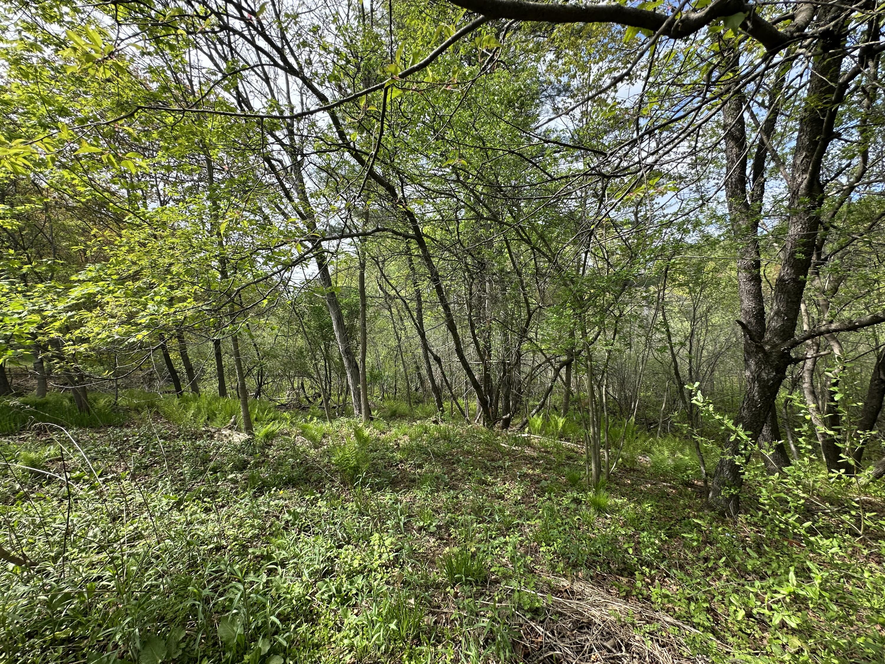 132 Lake Avenue Farmington ME 04938