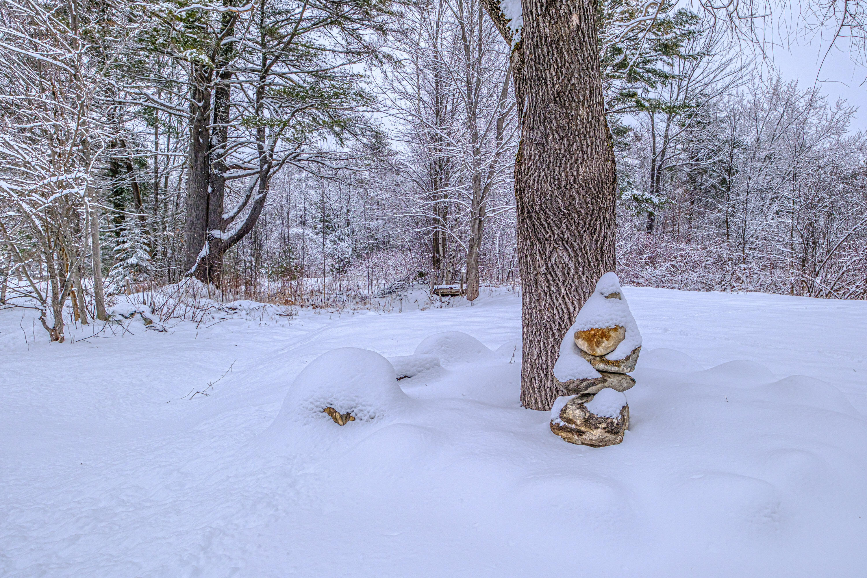 12 Paradise Road Bethel ME 04217