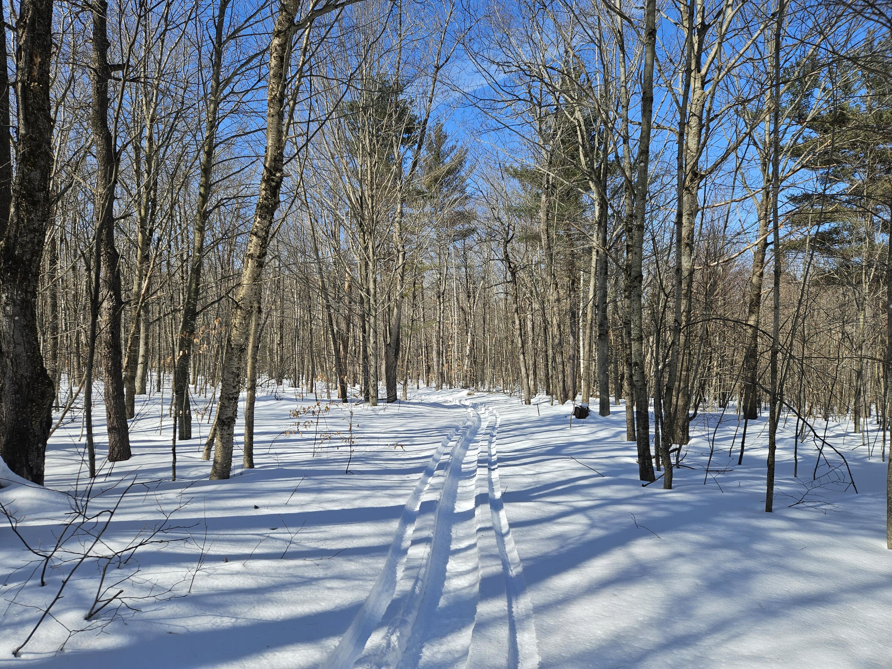 0 Canton Mountain Road Canton ME 04221