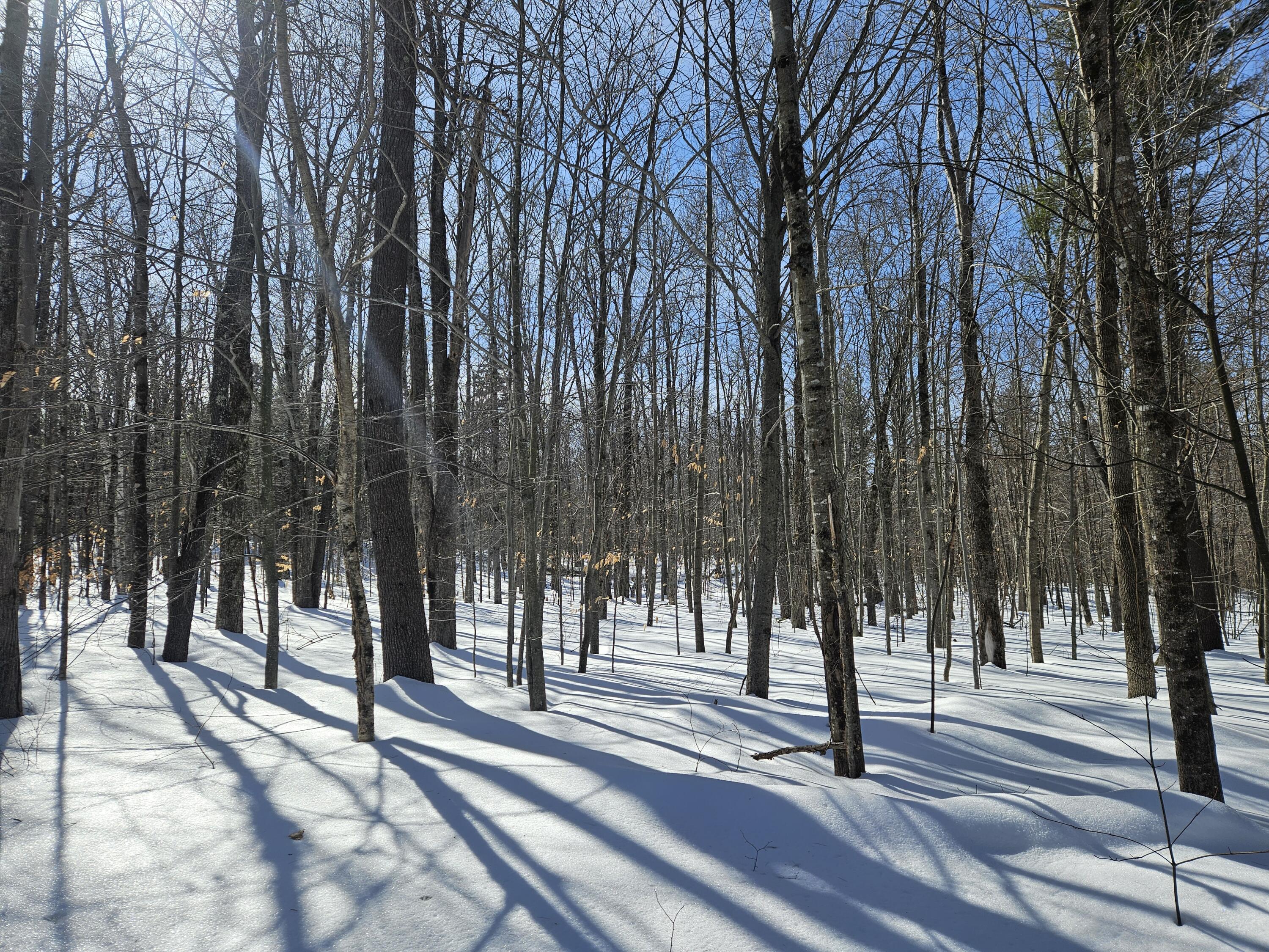 0 Canton Mountain Road Canton ME 04221