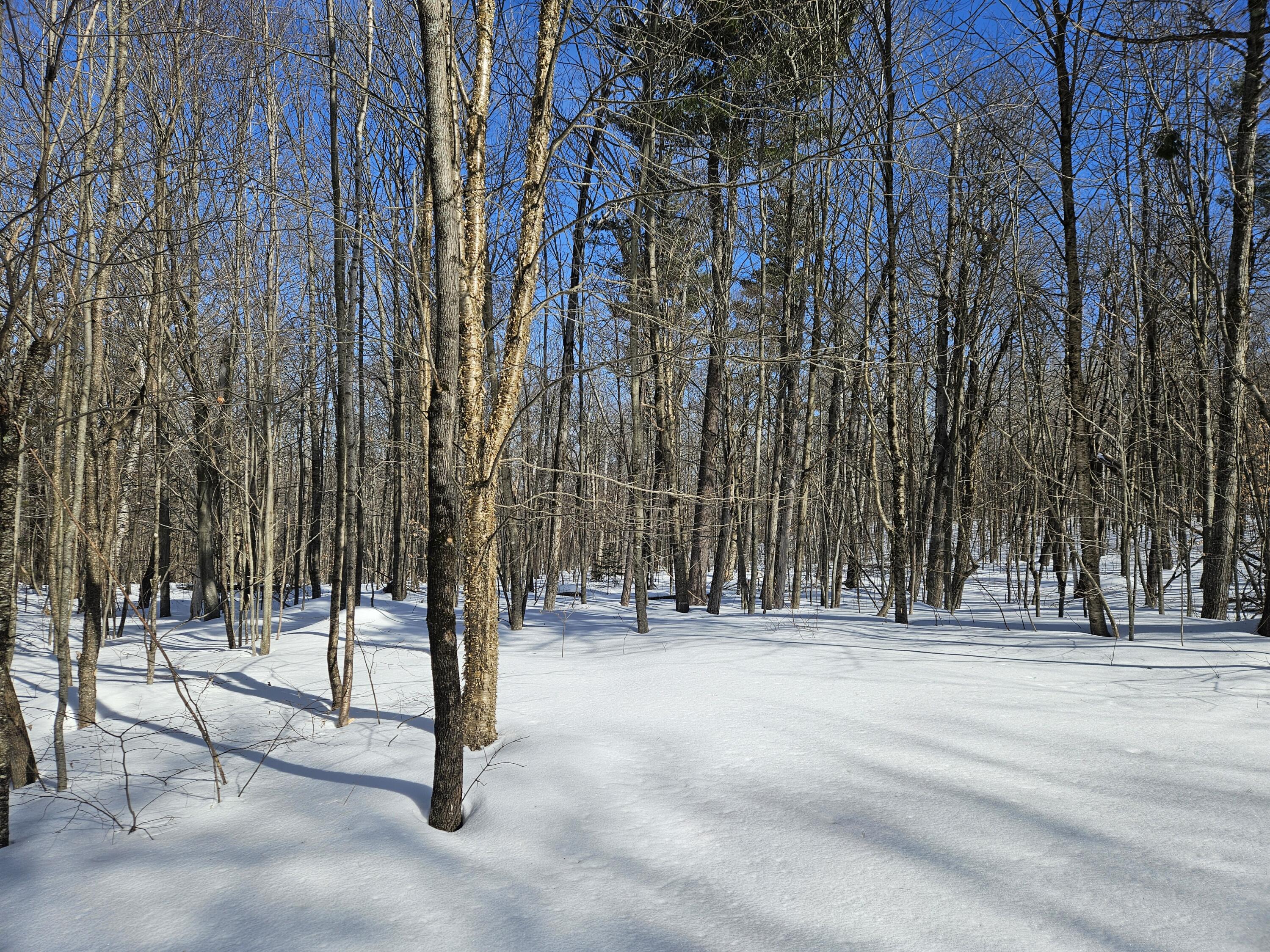 0 Canton Mountain Road Canton ME 04221