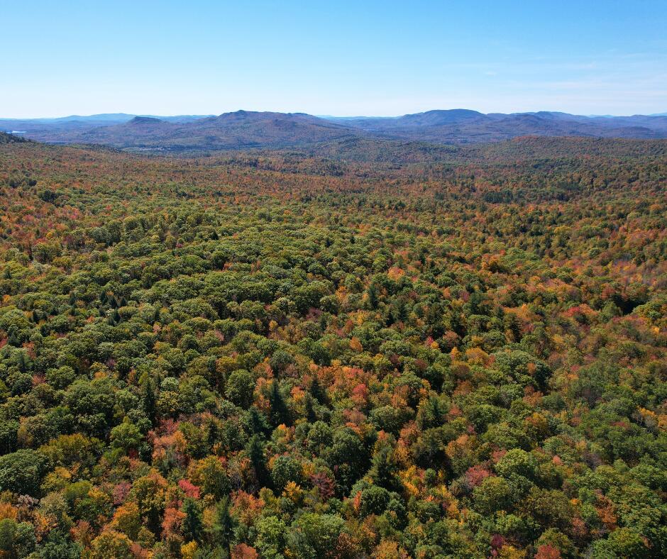 0 Canton Mountain Road Canton ME 04221