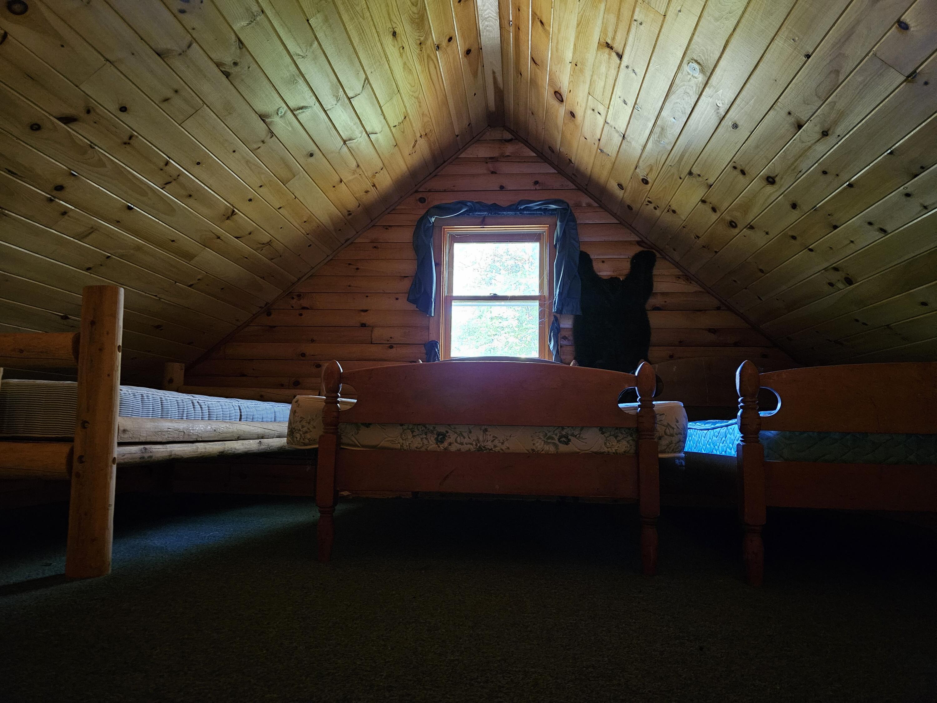 0 Canton Mountain Road Canton ME 04221