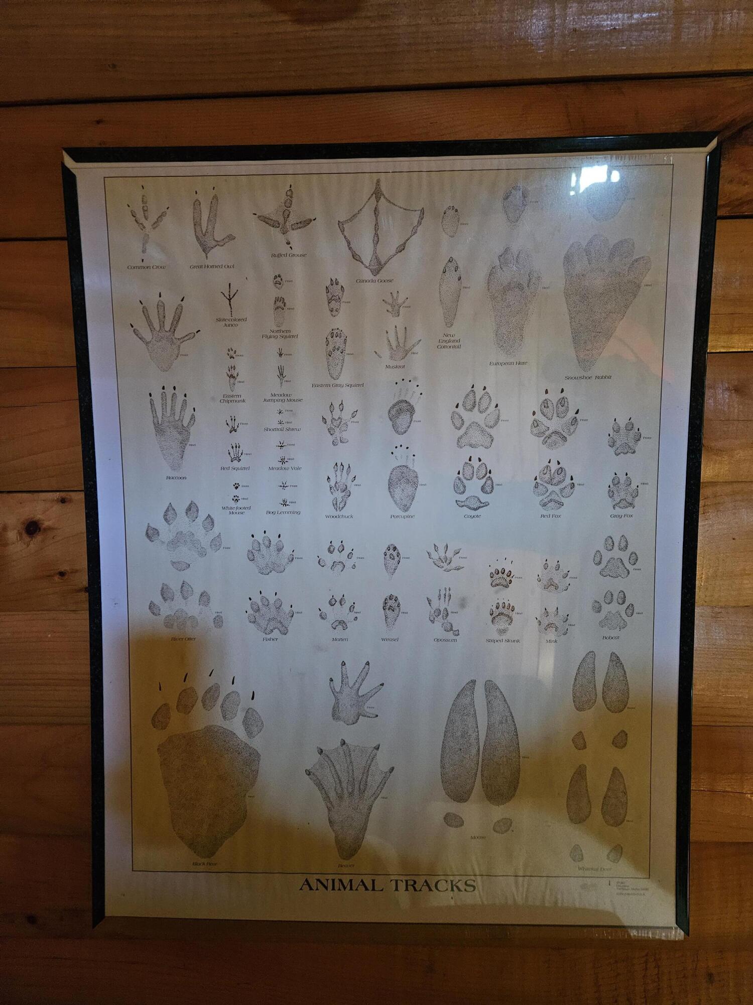 0 Canton Mountain Road Canton ME 04221