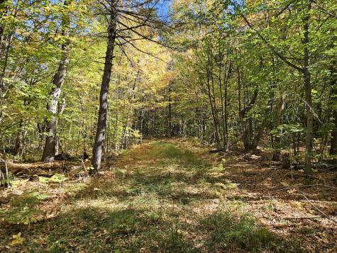 0 Canton Mountain Road Canton ME 04221