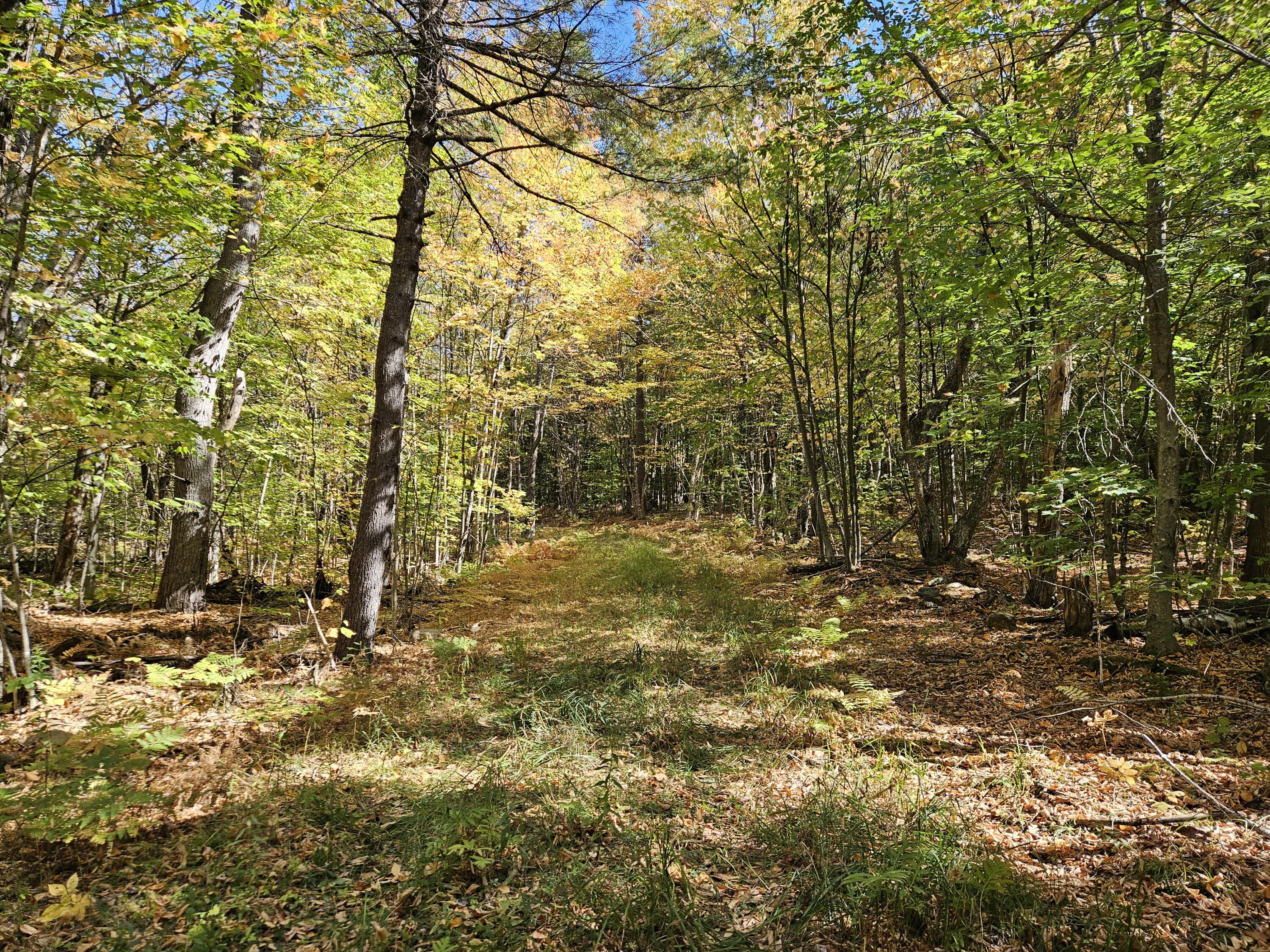 0 Canton Mountain Road Canton ME 04221