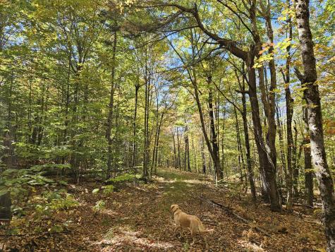 0 Canton Mountain Road Canton ME 04221