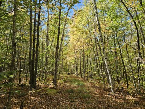 0 Canton Mountain Road Canton ME 04221