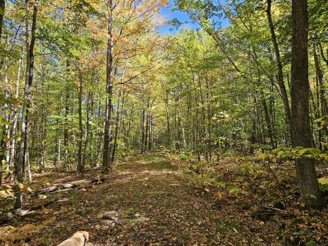 0 Canton Mountain Road Canton ME 04221