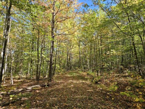 0 Canton Mountain Road Canton ME 04221