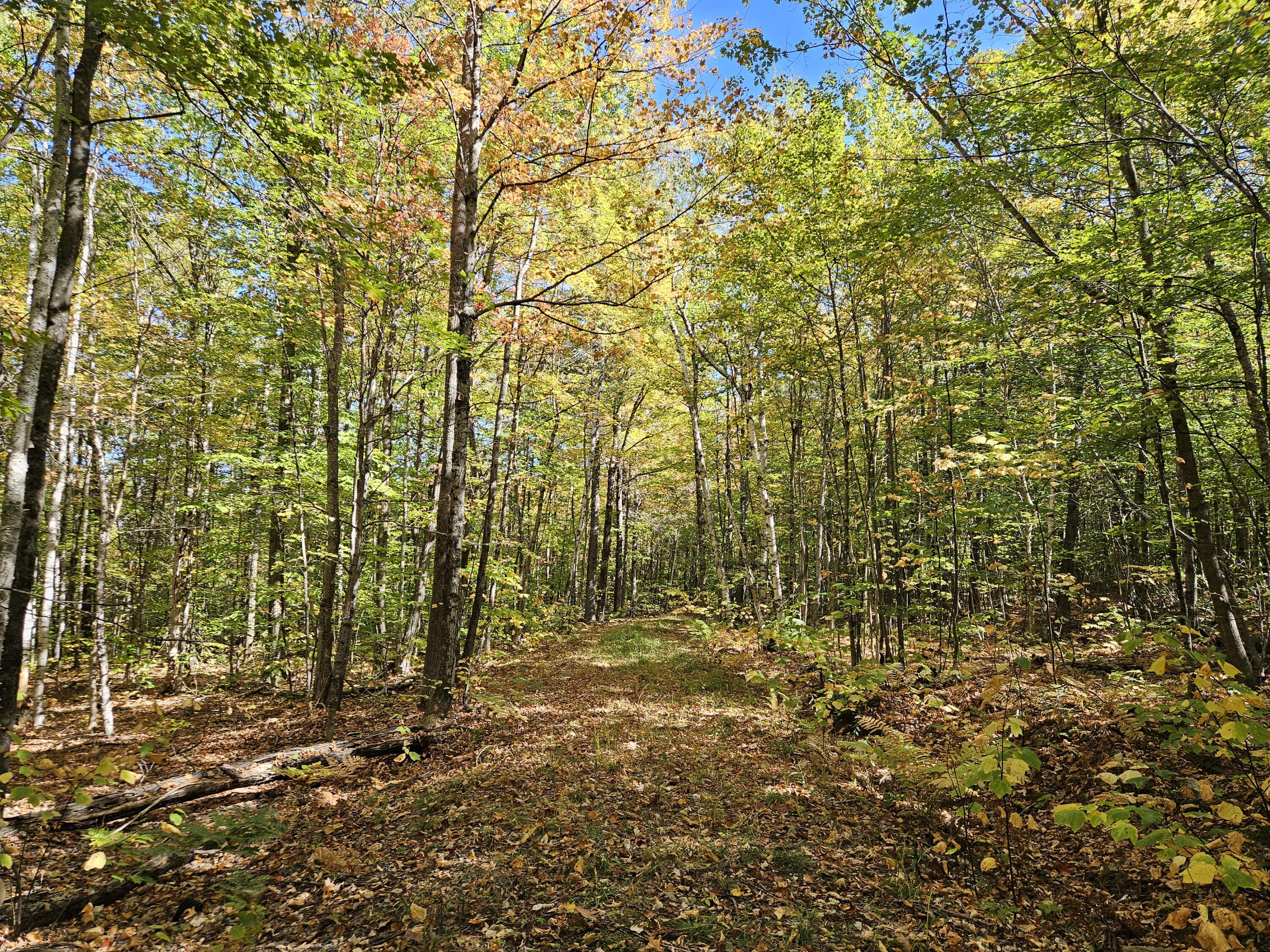 0 Canton Mountain Road Canton ME 04221