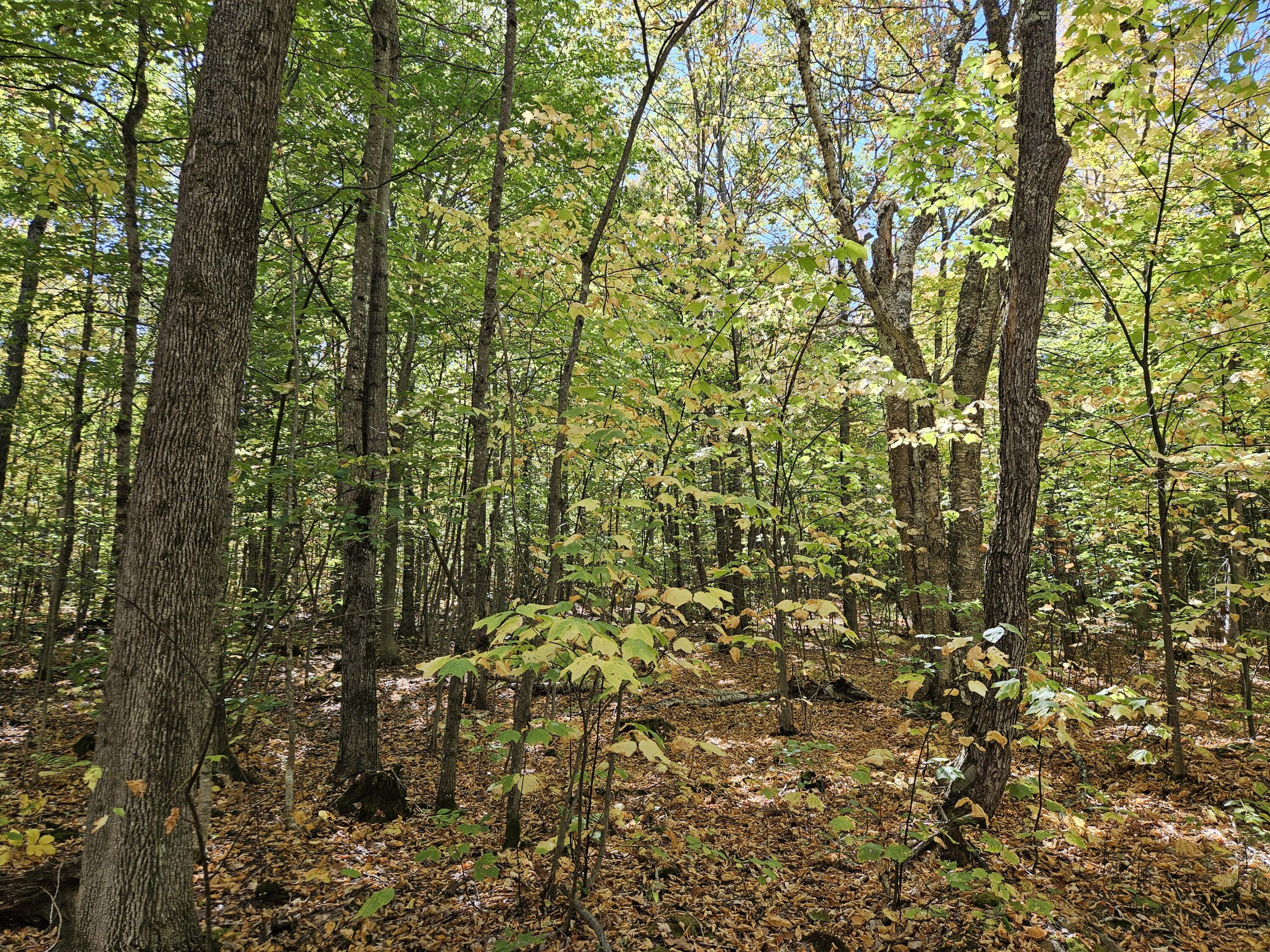 0 Canton Mountain Road Canton ME 04221