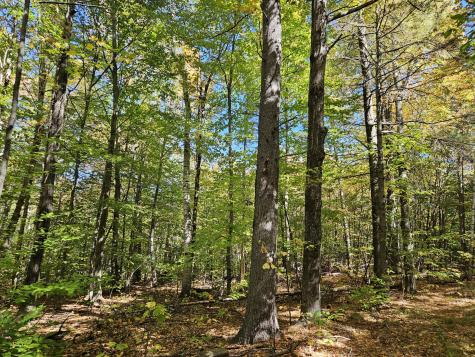 0 Canton Mountain Road Canton ME 04221