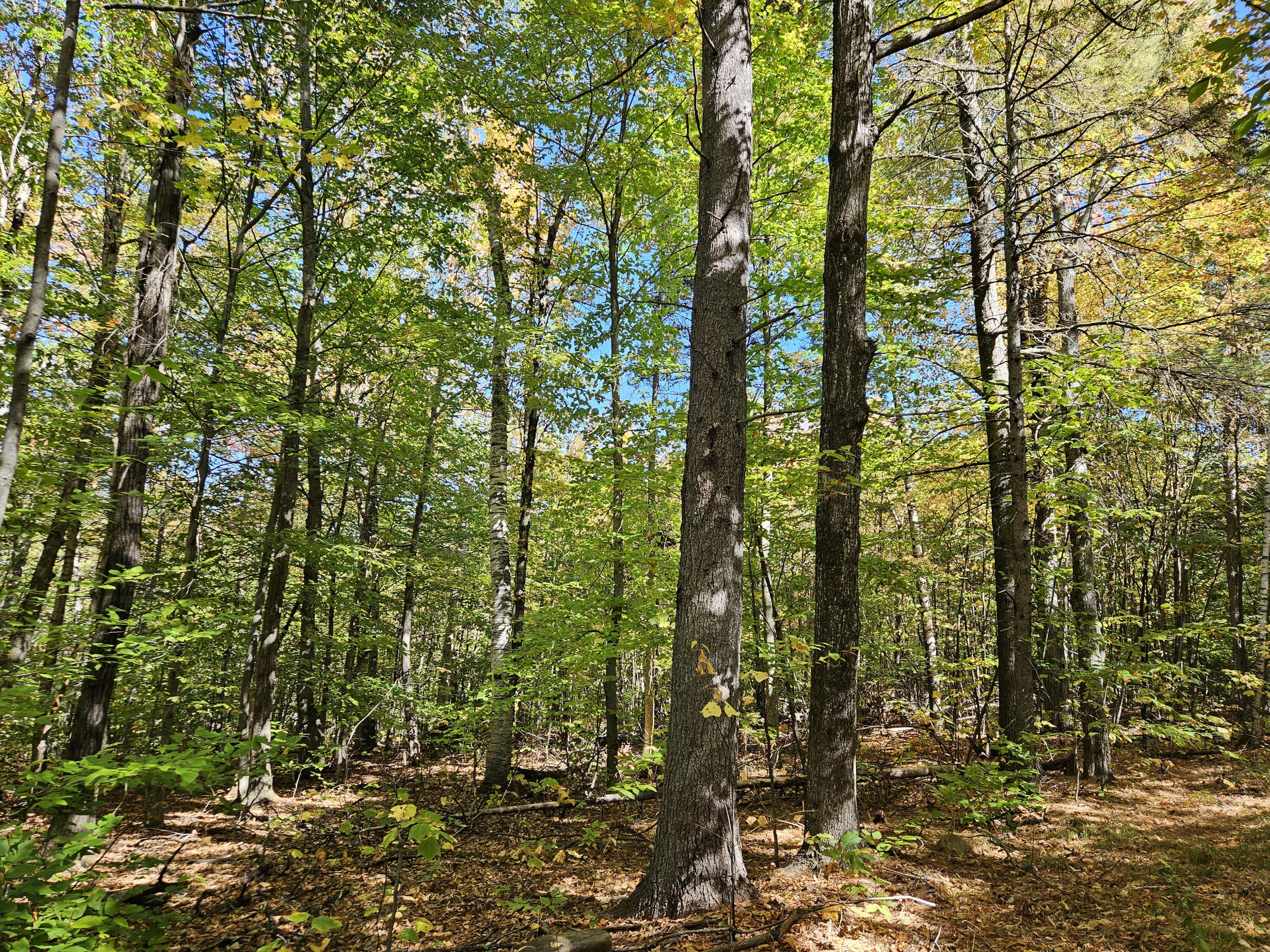 0 Canton Mountain Road Canton ME 04221